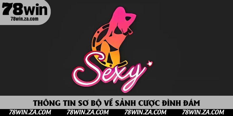 Thông tin sơ bộ về sảnh cược đình đám